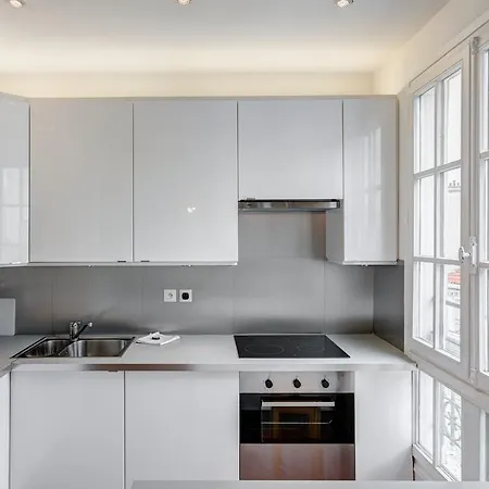 Dauphine Pont Neuf Apartment Paris
